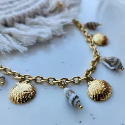 Seashells