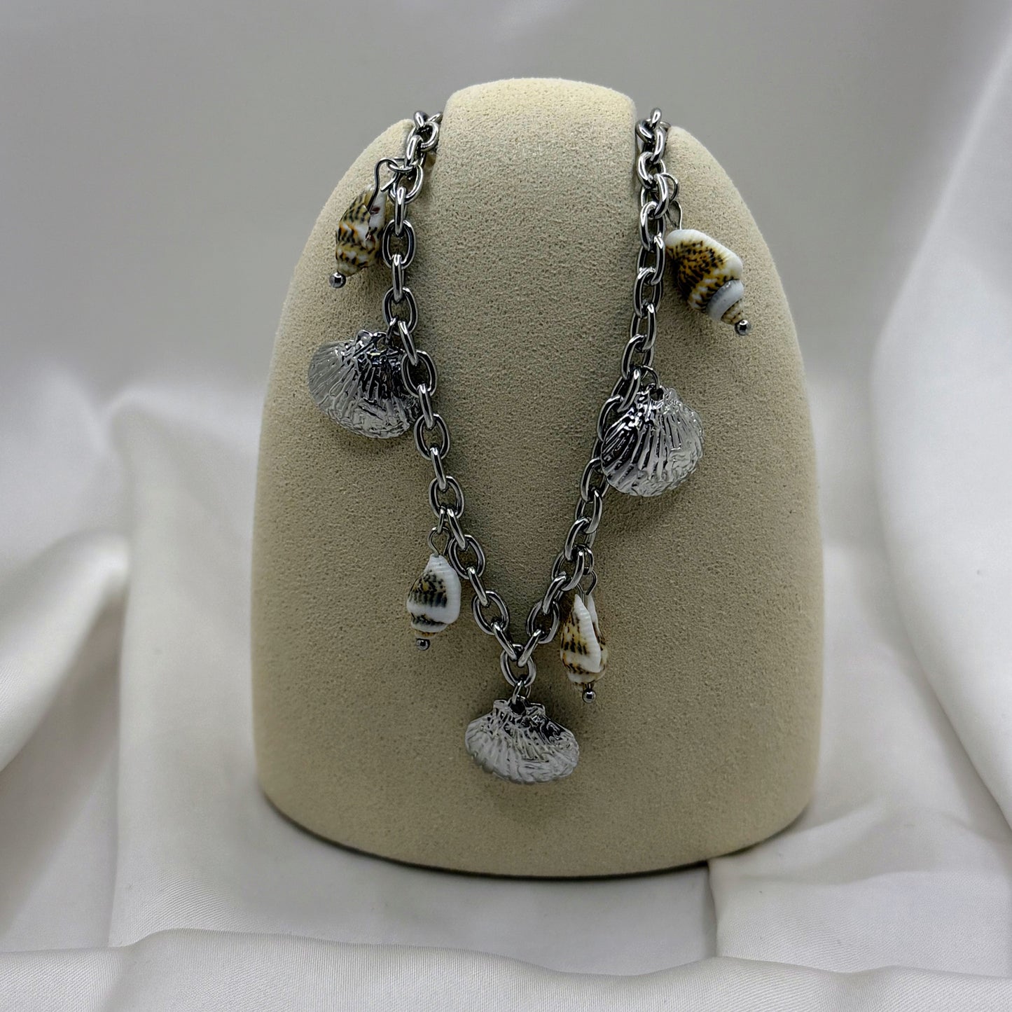 Seashells